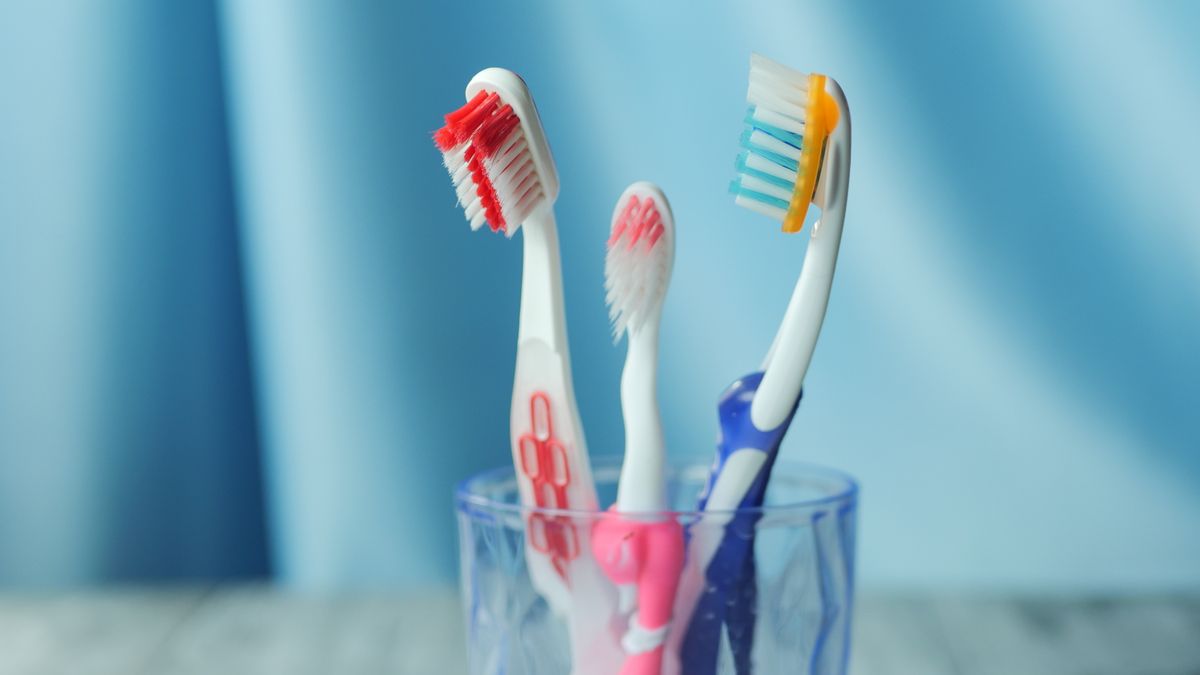 Toothbrushes in a cup on a bathroom counter