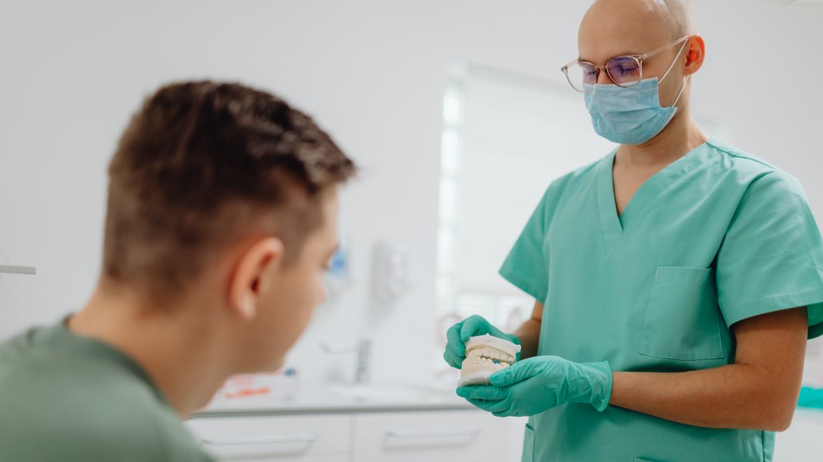 Dentist explaining something to a patient using a dental model