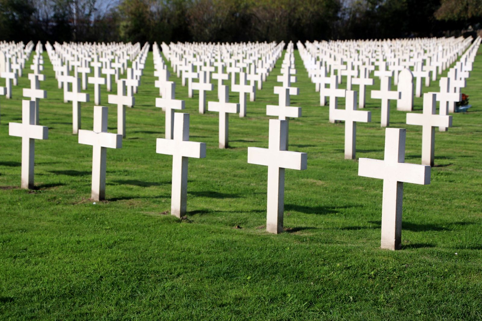 Rows of white crosses in a green cemetery under clear skies representing peace and remembrance