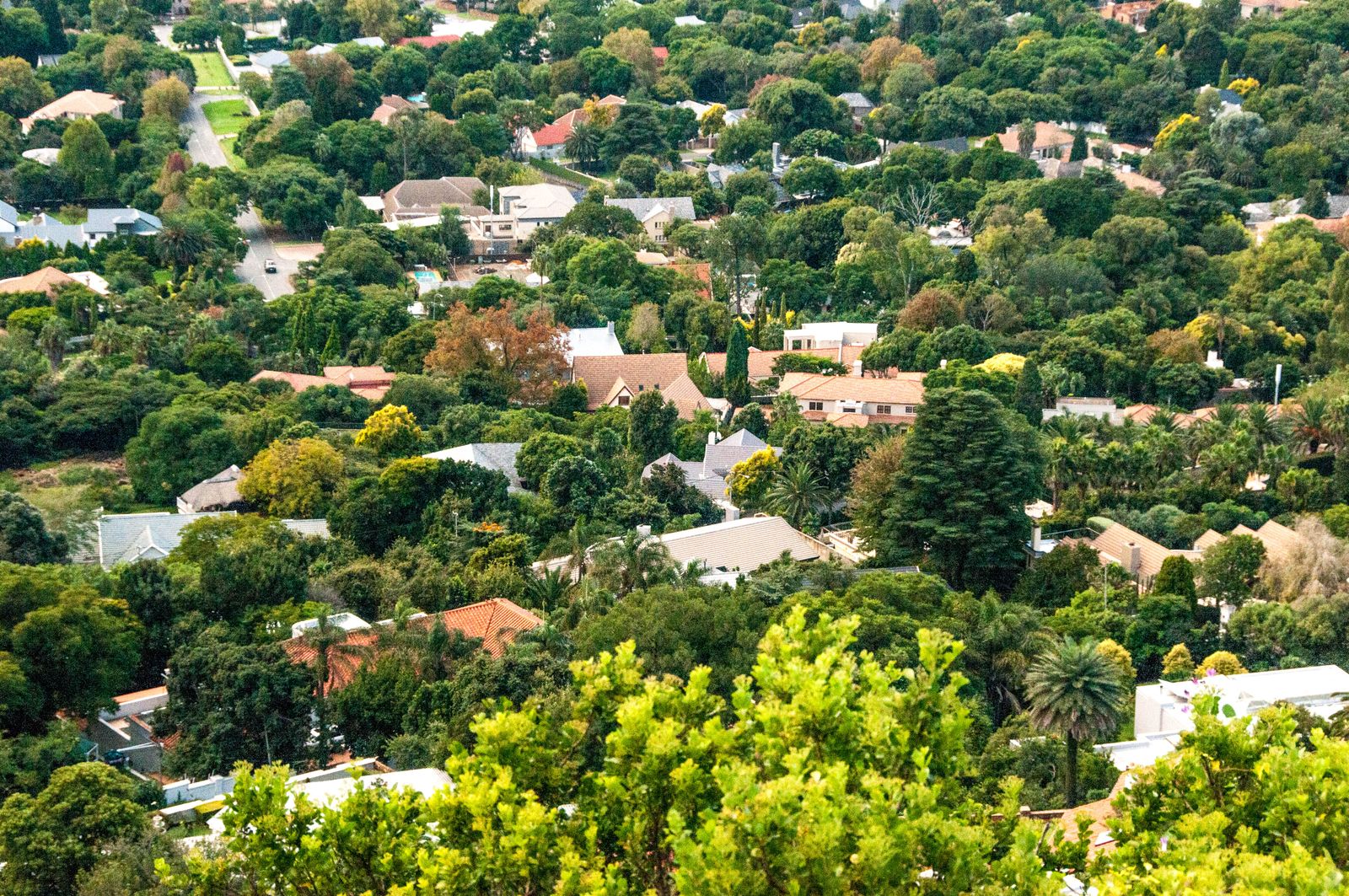 A lush aerial view of a suburban neighborhood surrounded by greenery in South Africa