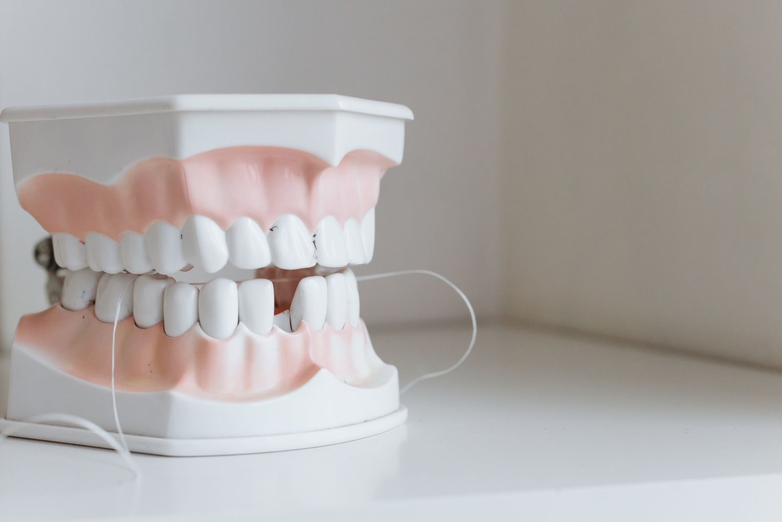 Close-up of a dental model with floss, symbolizing oral hygiene and dental care