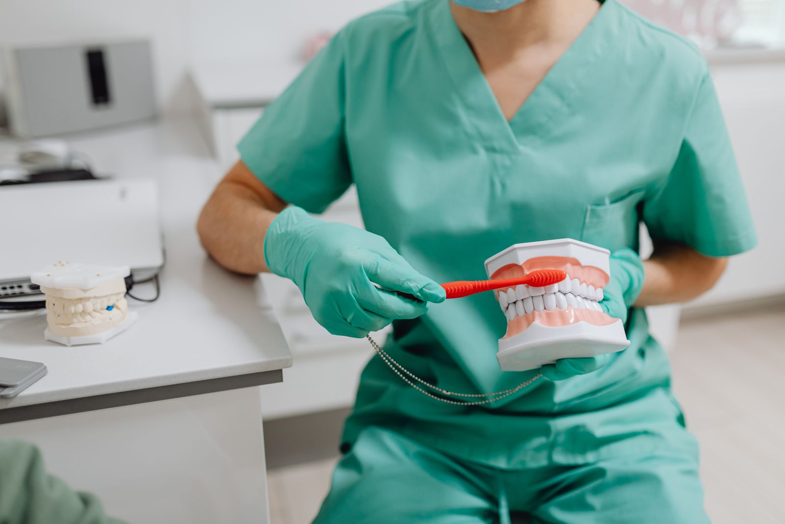 A dental professional demonstrating proper toothbrush technique with a dental model